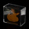PYP Pokemon Elite Trainer Box Acrylic Display Case - Top Magnetic Lid
